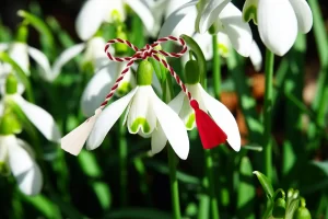 martisor